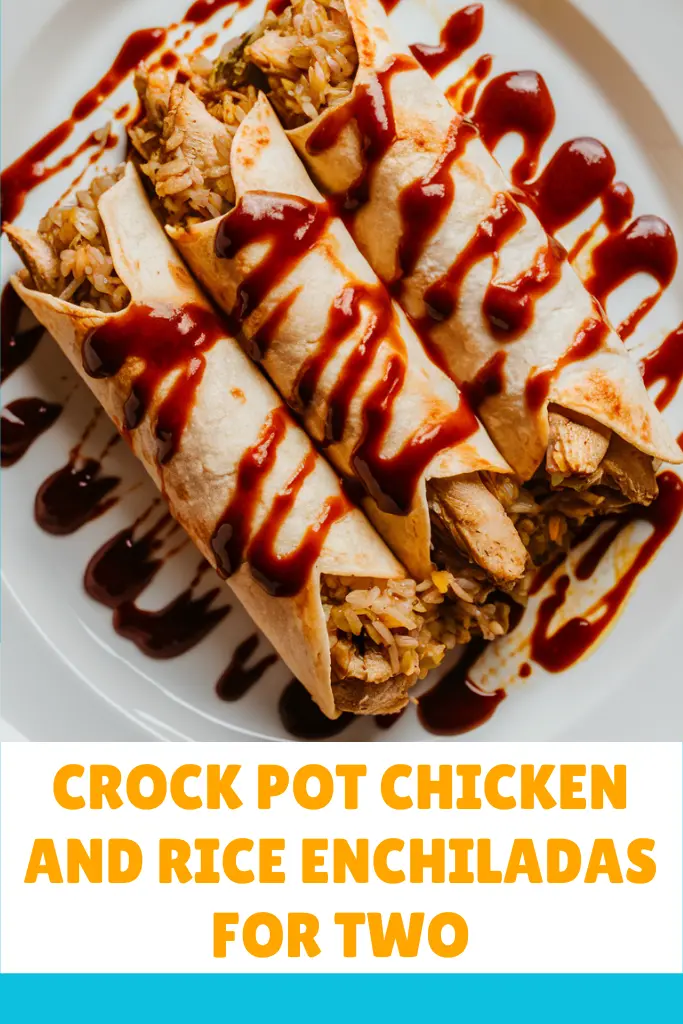 13 Easy Crockpot Chicken And Rice Recipes 7 Crock Pot Chicken and Rice Enchiladas For Two