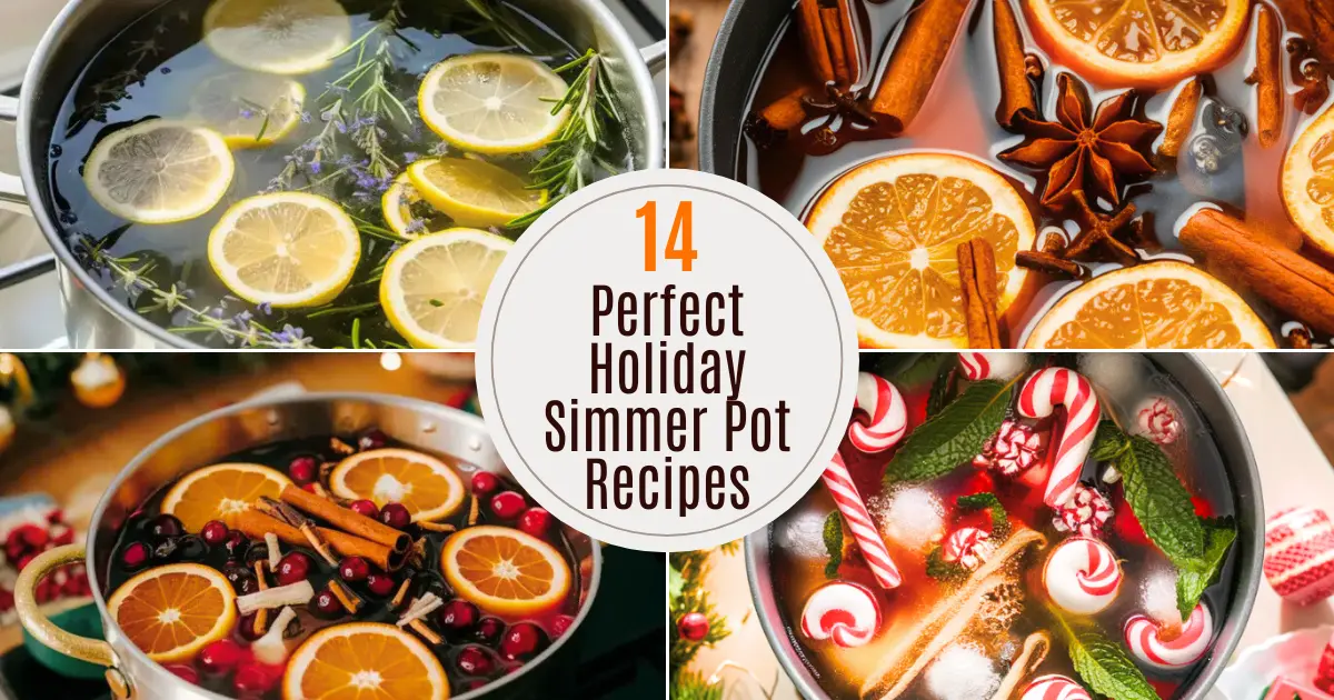 Simmer Pot Recipes