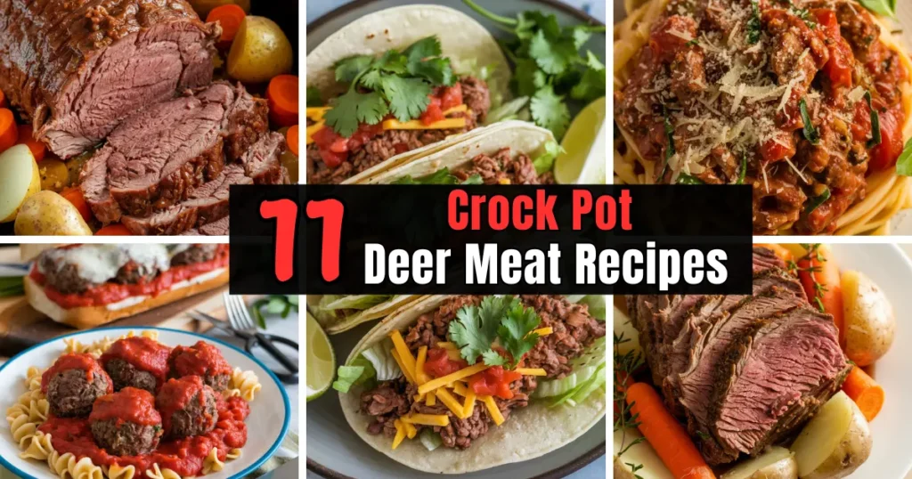 Crock Pot Deer Meat Recipes