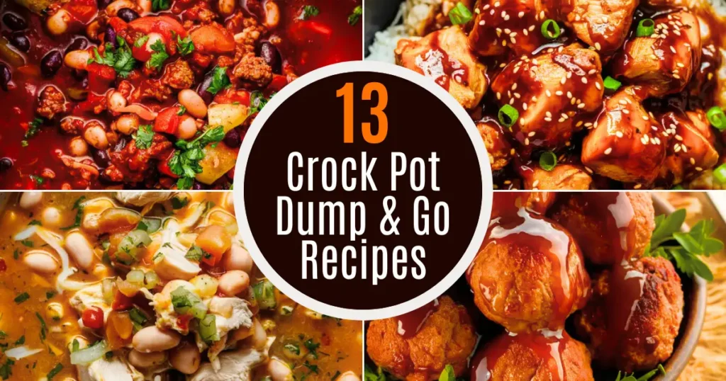 Crock Pot Dump & Go Recipes