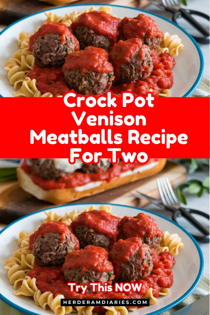 Crock Pot Venison Meatballs Recipe For Two