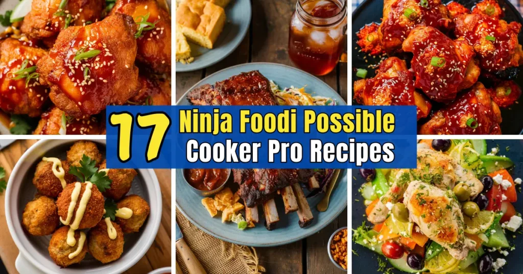Ninja Foodi Possible Cooker Pro Recipes