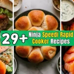 Ninja Speedi Rapid Cooker Recipes